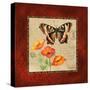 Butterfly & Poppies-Gregory Gorham-Stretched Canvas