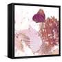 Butterfly Poster Print-Ruth Palmer-Framed Stretched Canvas