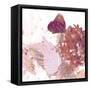 Butterfly Poster Print-Ruth Palmer-Framed Stretched Canvas