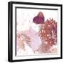 Butterfly Poster Print-Ruth Palmer-Framed Art Print