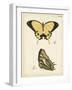 Butterfly Profile II-Vision Studio-Framed Art Print