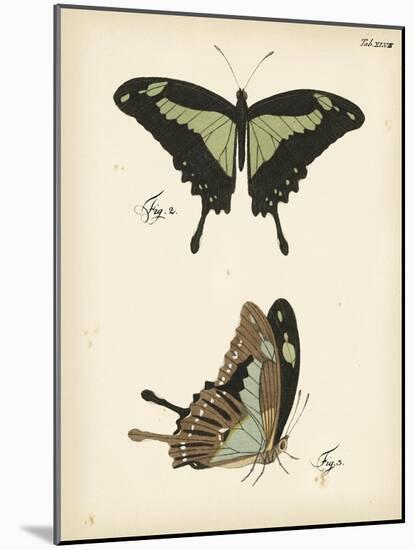 Butterfly Profile III-Vision Studio-Mounted Art Print
