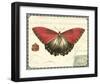 Butterfly Prose I-null-Framed Art Print