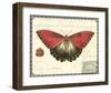Butterfly Prose I-null-Framed Art Print