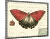 Butterfly Prose I-null-Mounted Art Print