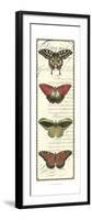 Butterfly Prose Panel I-null-Framed Art Print