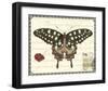 Butterfly Prose V-null-Framed Art Print