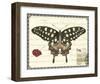 Butterfly Prose V-null-Framed Art Print