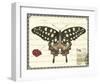 Butterfly Prose V-null-Framed Art Print