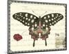 Butterfly Prose V-null-Mounted Art Print