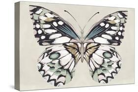 Butterfly's Kiss I-Isabelle Z-Stretched Canvas