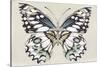 Butterfly's Kiss I-Isabelle Z-Stretched Canvas