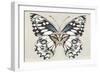 Butterfly's Kiss I-Isabelle Z-Framed Art Print