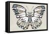 Butterfly's Kiss II-Isabelle Z-Framed Stretched Canvas