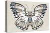 Butterfly's Kiss II-Isabelle Z-Stretched Canvas