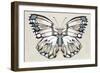 Butterfly's Kiss II-Isabelle Z-Framed Premium Giclee Print