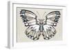 Butterfly's Kiss II-Isabelle Z-Framed Premium Giclee Print