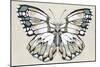 Butterfly's Kiss II-Isabelle Z-Mounted Premium Giclee Print