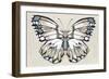 Butterfly's Kiss II-Isabelle Z-Framed Art Print