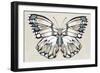 Butterfly's Kiss II-Isabelle Z-Framed Art Print