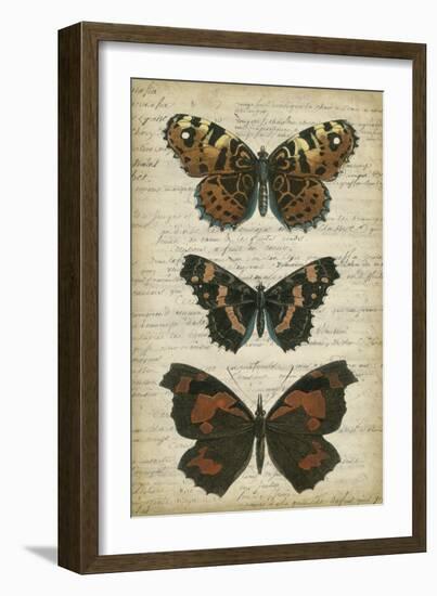 Butterfly Script II-Vision Studio-Framed Art Print