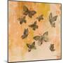 Butterfly Silhouettes II-Silvia Vassileva-Mounted Art Print