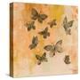 Butterfly Silhouettes II-Silvia Vassileva-Stretched Canvas