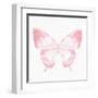 Butterfly Soar 2-Kimberly Allen-Framed Art Print