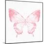 Butterfly Soar 2-Kimberly Allen-Mounted Art Print