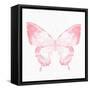 Butterfly Soar 2-Kimberly Allen-Framed Stretched Canvas