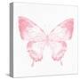 Butterfly Soar 2-Kimberly Allen-Stretched Canvas