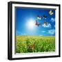 Butterfly Spring Field. A Group O Colorful Butterflies In The Spring Summer Grass Land-Michal Bednarek-Framed Premium Photographic Print