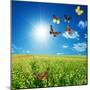 Butterfly Spring Field. A Group O Colorful Butterflies In The Spring Summer Grass Land-Michal Bednarek-Mounted Premium Photographic Print