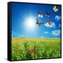 Butterfly Spring Field. A Group O Colorful Butterflies In The Spring Summer Grass Land-Michal Bednarek-Framed Stretched Canvas