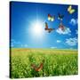 Butterfly Spring Field. A Group O Colorful Butterflies In The Spring Summer Grass Land-Michal Bednarek-Stretched Canvas