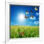 Butterfly Spring Field. A Group O Colorful Butterflies In The Spring Summer Grass Land-Michal Bednarek-Framed Photographic Print