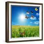 Butterfly Spring Field. A Group O Colorful Butterflies In The Spring Summer Grass Land-Michal Bednarek-Framed Photographic Print