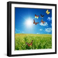 Butterfly Spring Field. A Group O Colorful Butterflies In The Spring Summer Grass Land-Michal Bednarek-Framed Photographic Print