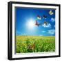 Butterfly Spring Field. A Group O Colorful Butterflies In The Spring Summer Grass Land-Michal Bednarek-Framed Photographic Print