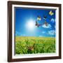 Butterfly Spring Field. A Group O Colorful Butterflies In The Spring Summer Grass Land-Michal Bednarek-Framed Photographic Print