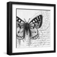 Butterfly Studies I-Patricia Pinto-Framed Art Print