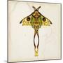 Butterfly Study I-Melissa Wang-Mounted Art Print