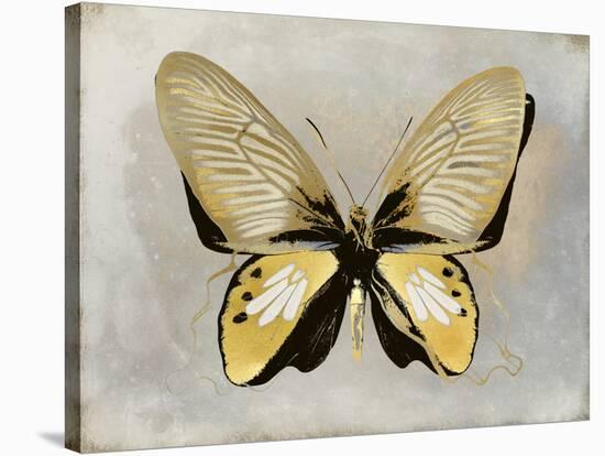 Butterfly Study I-Julia Bosco-Stretched Canvas