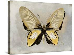 Butterfly Study I-Julia Bosco-Stretched Canvas