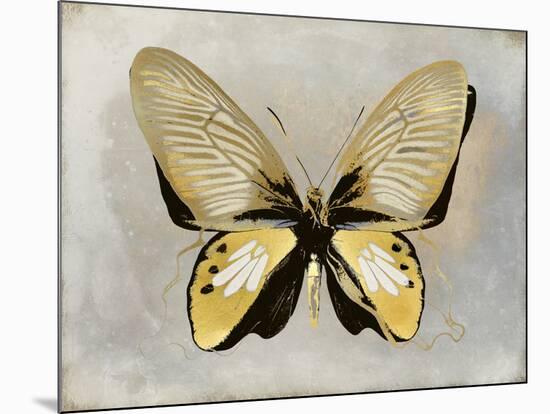 Butterfly Study I-Julia Bosco-Mounted Art Print