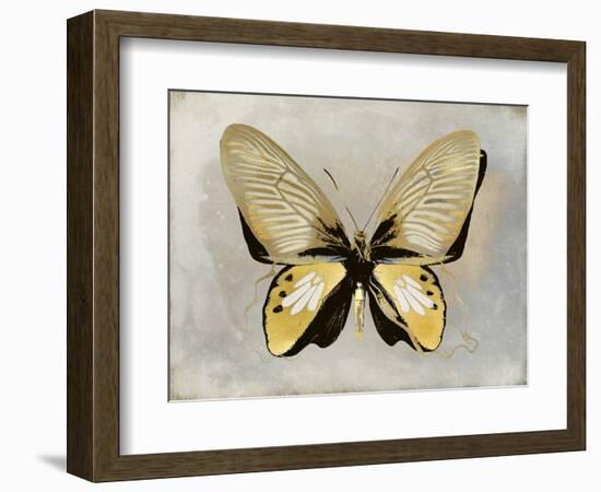 Butterfly Study I-Julia Bosco-Framed Art Print