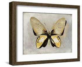 Butterfly Study I-Julia Bosco-Framed Art Print