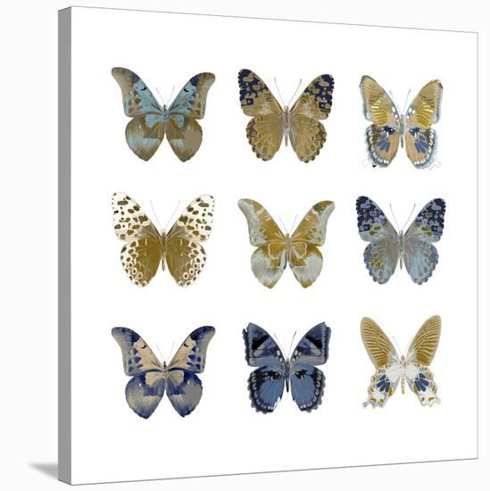 Butterfly Study I-Julia Bosco-Stretched Canvas