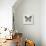 Butterfly Study II-Melissa Wang-Art Print displayed on a wall