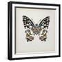 Butterfly Study II-Melissa Wang-Framed Art Print